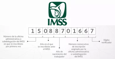 afiliacion imss