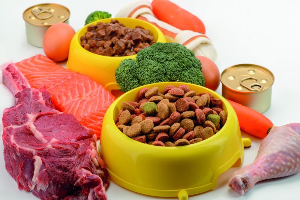 alimentos mascotas