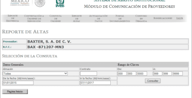 alta imss 1