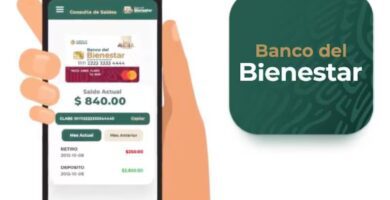 app bienestar