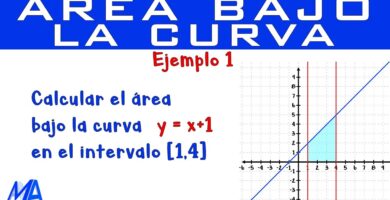 area curva