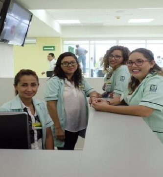asistente imss