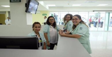 asistente imss