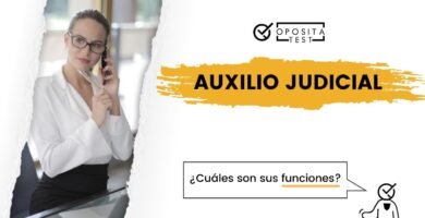 auxilio judicial