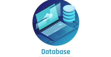 base datos