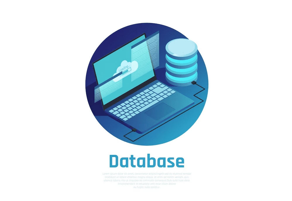 base datos