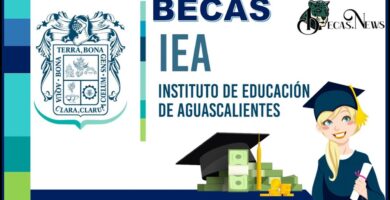 beca compensatoria