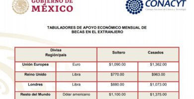 beca conacyt