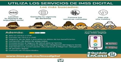 beneficiarios imss