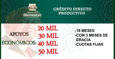 bienestar prestamos
