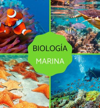 biologia marina