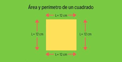 calcular area