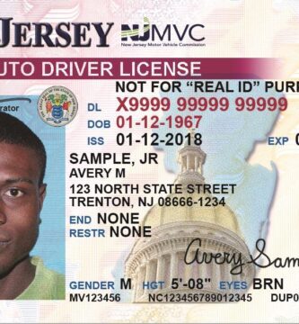 carnet conducir 1