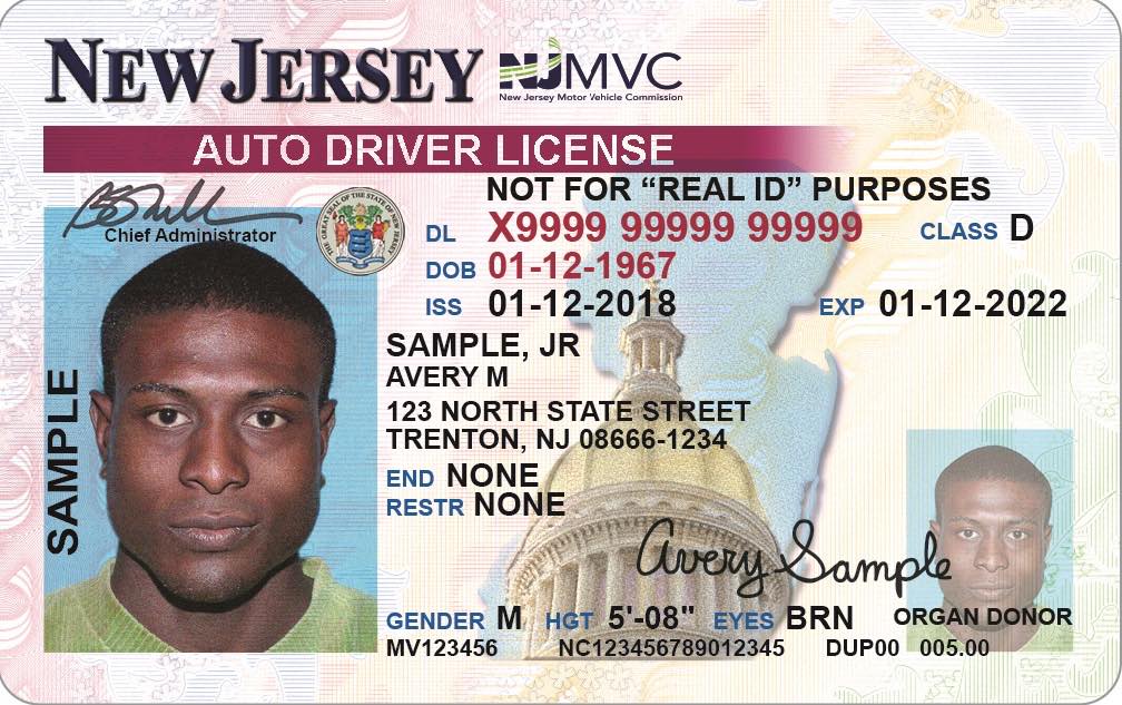 carnet conducir 1