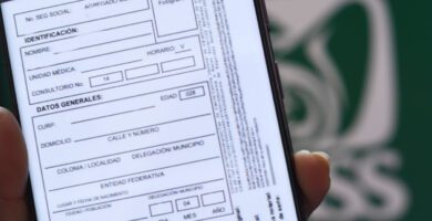 carnet imss
