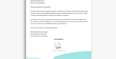 carta responsiva