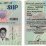 cedula profesional 1