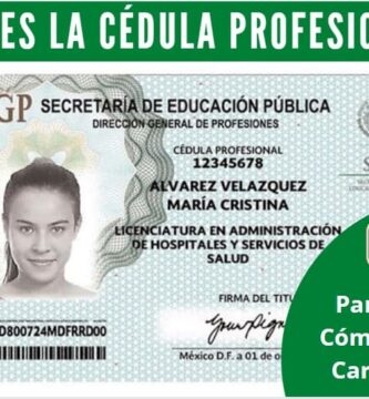 cedula profesional 2