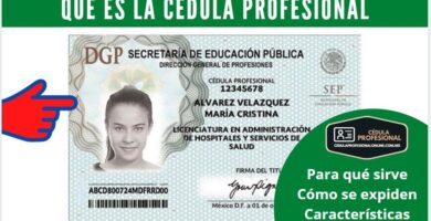 cedula profesional 2