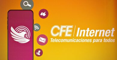cfe celular
