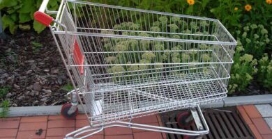 changuito compras