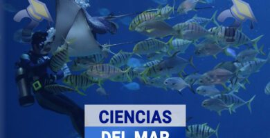 ciencias mar