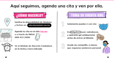 cita ine