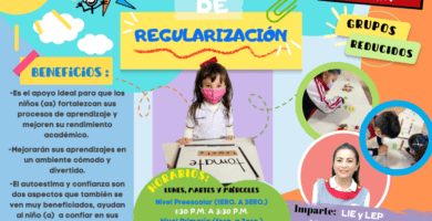 clases regularizacion