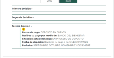 como saber cuando me llega la beca 2024