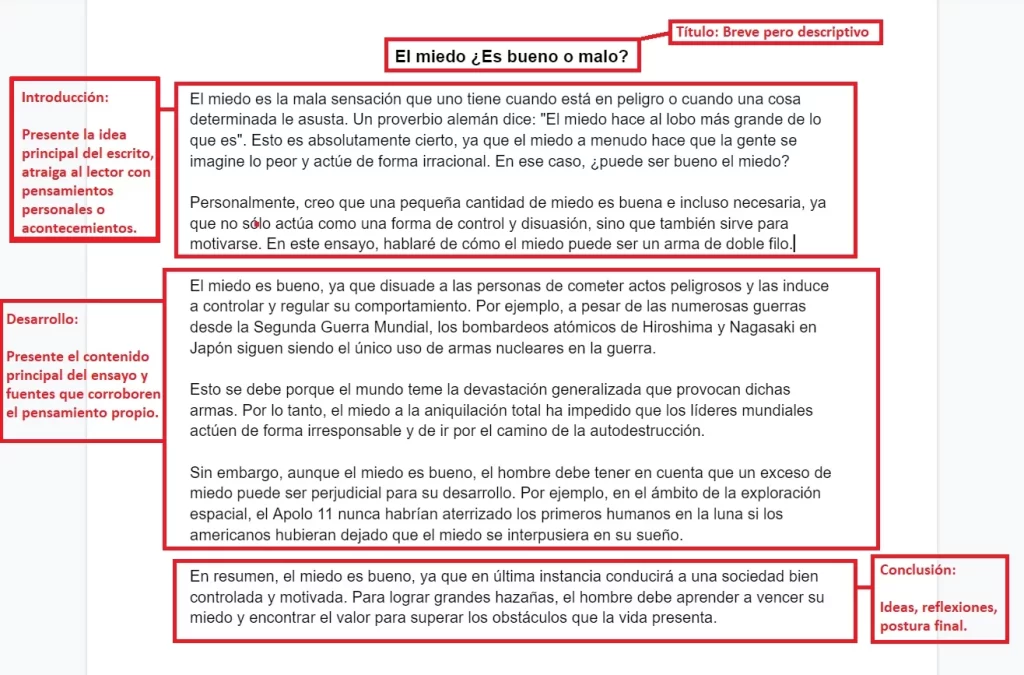 como se debe escribir un ensayo