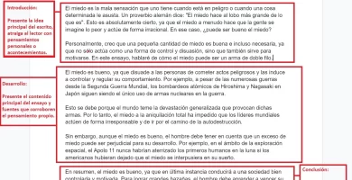 como se debe escribir un ensayo