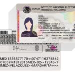 credencial elector