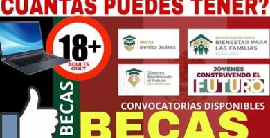 cuantas becas se puede tener al mismo tiempo