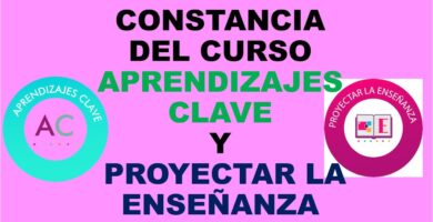 curso aprendizajes