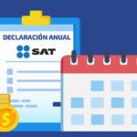 declaracion anual