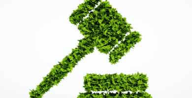 derecho ambiental
