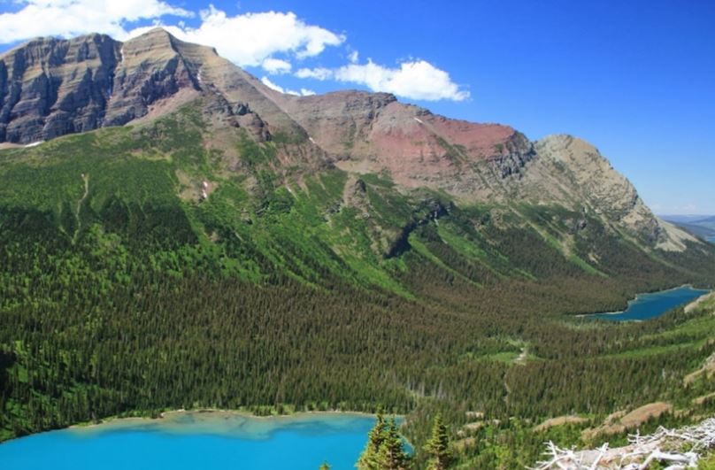 ecosistemas naturales