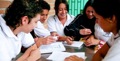 educacion media