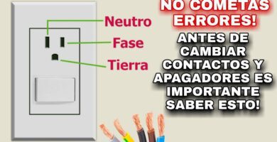 fase neutro