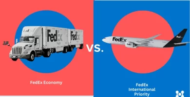 fedex international