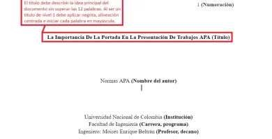 formato apa
