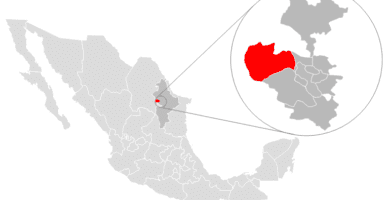 garcia nuevo