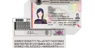 ine mexico