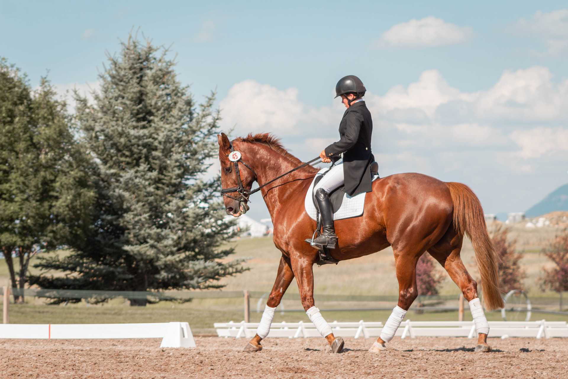 Cómo se llama el deporte de montar a caballo: Equitación