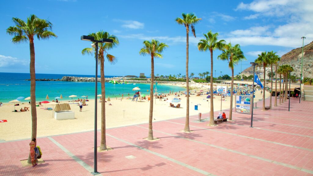 las palmas 1