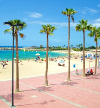 las palmas