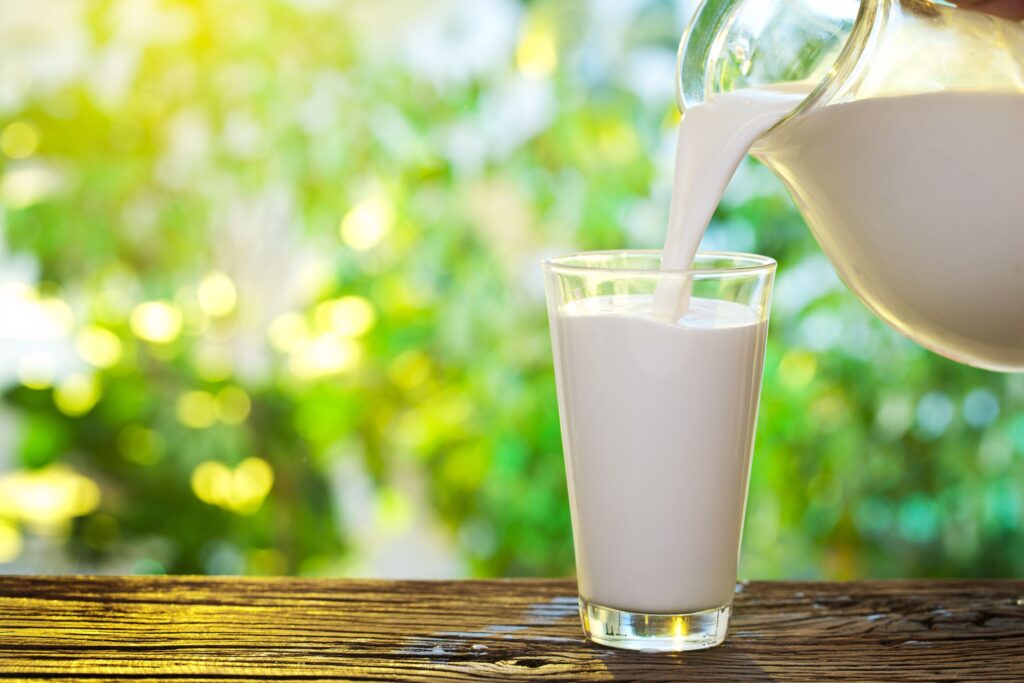 leche oveja