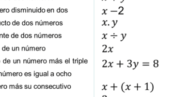 lenguaje algebraico