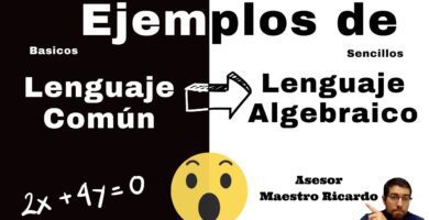 lenguaje comun