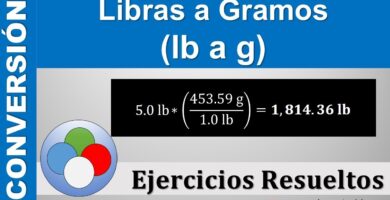 libras gramos